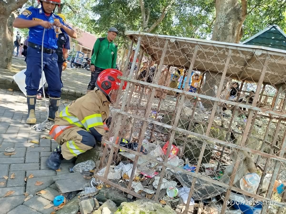 EVAKUASI : Petugas Damkar Bojonegoro mengevakuasi dua ekor kera di Malo.