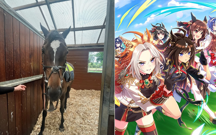 Hanya Cygames yang tahu kapan Jax Belle, kuda milik gamer asal Inggris bakal jadi karakter Umamusume. (Reddit Oxijinn_ (kiri)/Dok. Cygames (kanan))