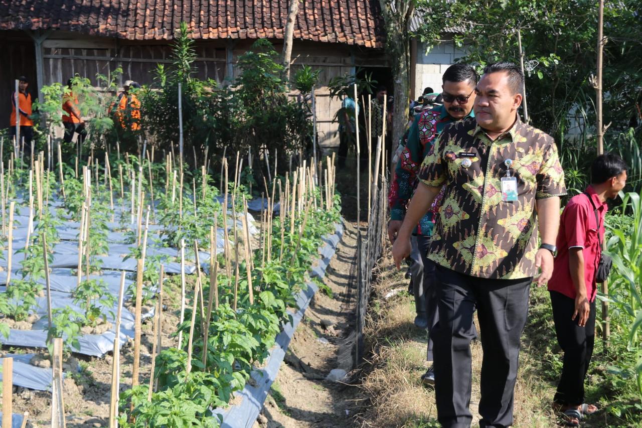 INFLASI : Bupati Arief Rohman gencarkan tanam cabai untuk menekan inflasi di Blora.