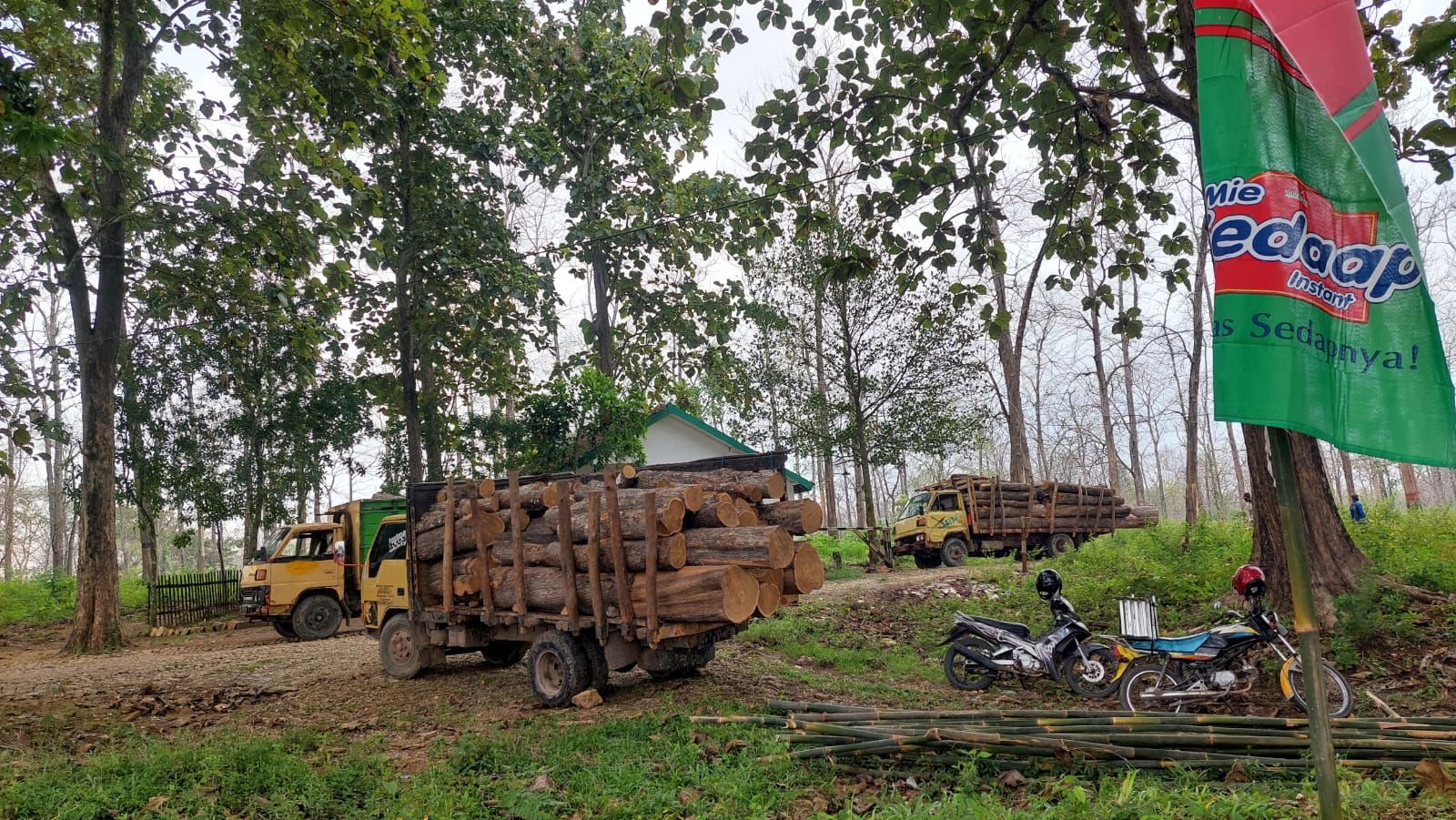 HUTAN: Sekitar 49 persen wilayah Blora merupakan kawasan hutan.