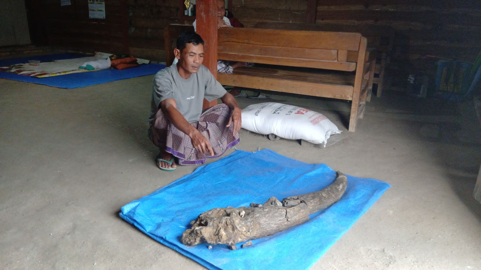 PENEMUAN: Fosil diduga tanduk kerbau purba berusia ribuan tahun ditemukan warga di Desa Gondel, Kecamatan Kedungtuban akhir Juli lalu. (M. LUKMAN HAKIM/RADAR BOJONEGORO)