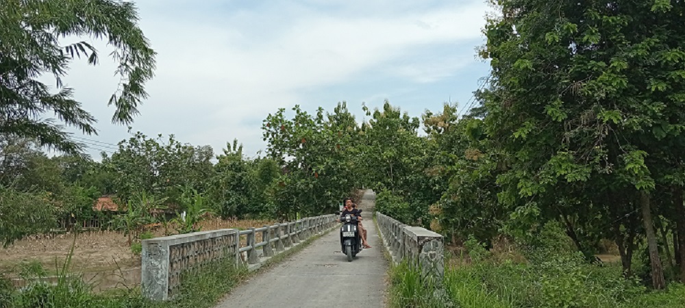 JEMBATAN DESA: Salah satu jembatan di Desa Napis, Kecamatan Tambakrejo menjadi penyambung antardesa.