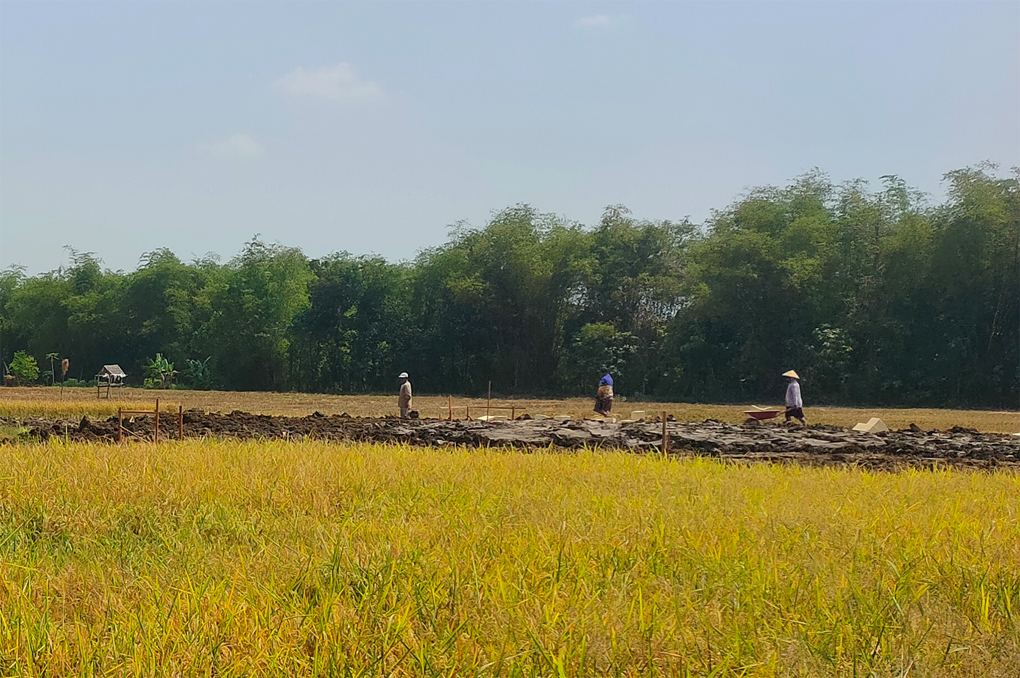 (Dok. Radar Bojonegoro)