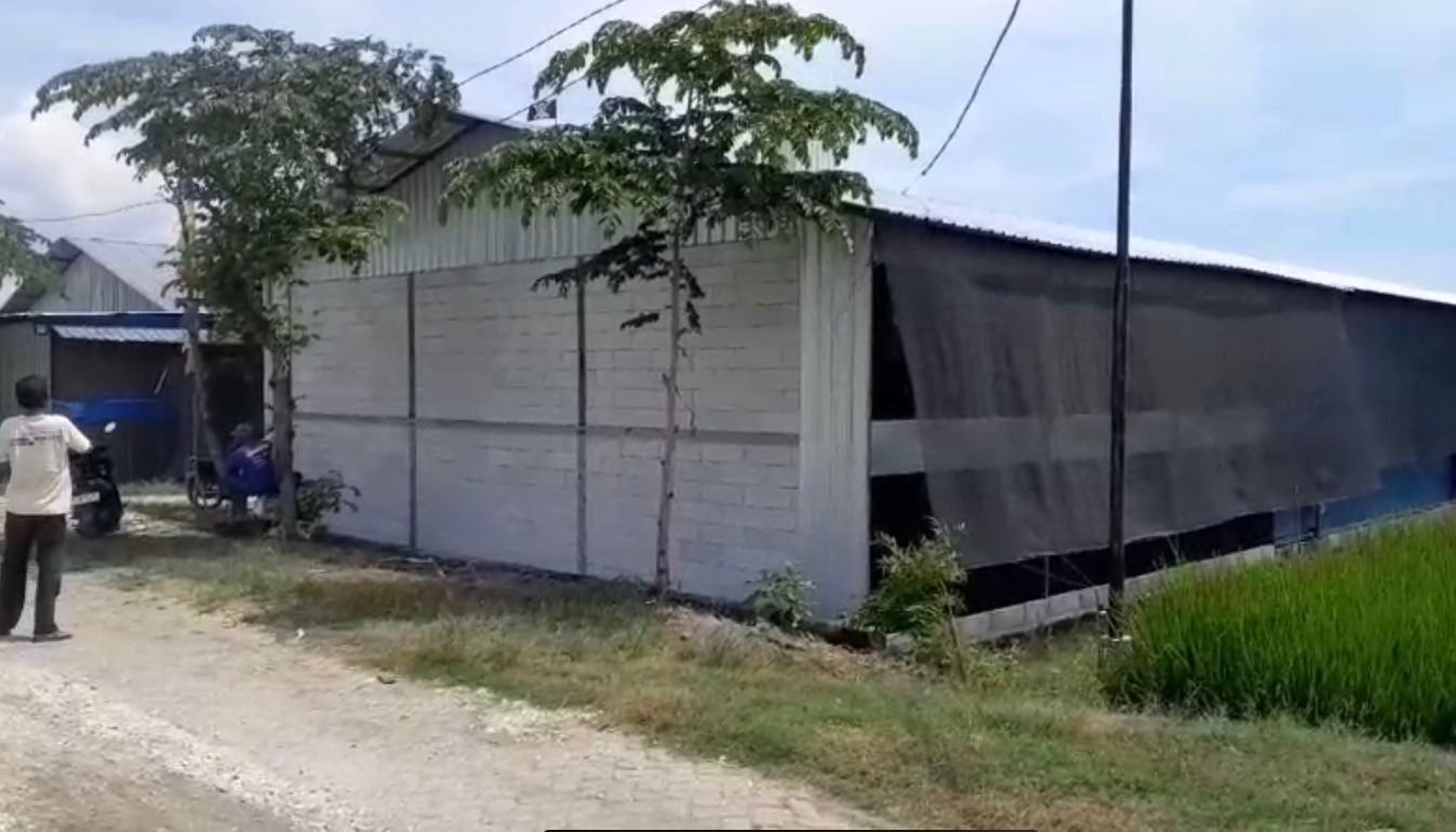 SIAP MENGAKOMODASI: Pengusaha kandang ayam di Desa Gadon bakal mengakomodasi keluhan warga terkait dampak yang ditimbulkan.