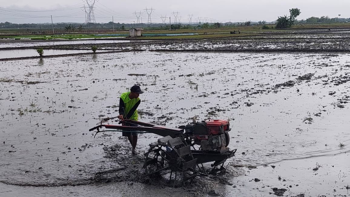 BUTUH SOLUSI: Petani berharap pengurusan pembuatan barcode BBM bersubsidi bisa dilakukan di kecamatan.