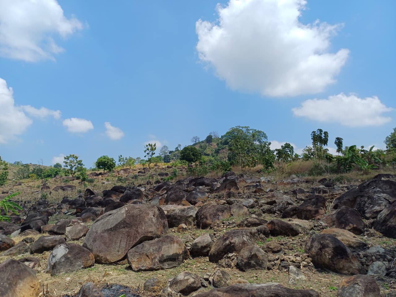 (Lenny Nanda Novianti/Dok. UTM for Radar Bojonegoro)