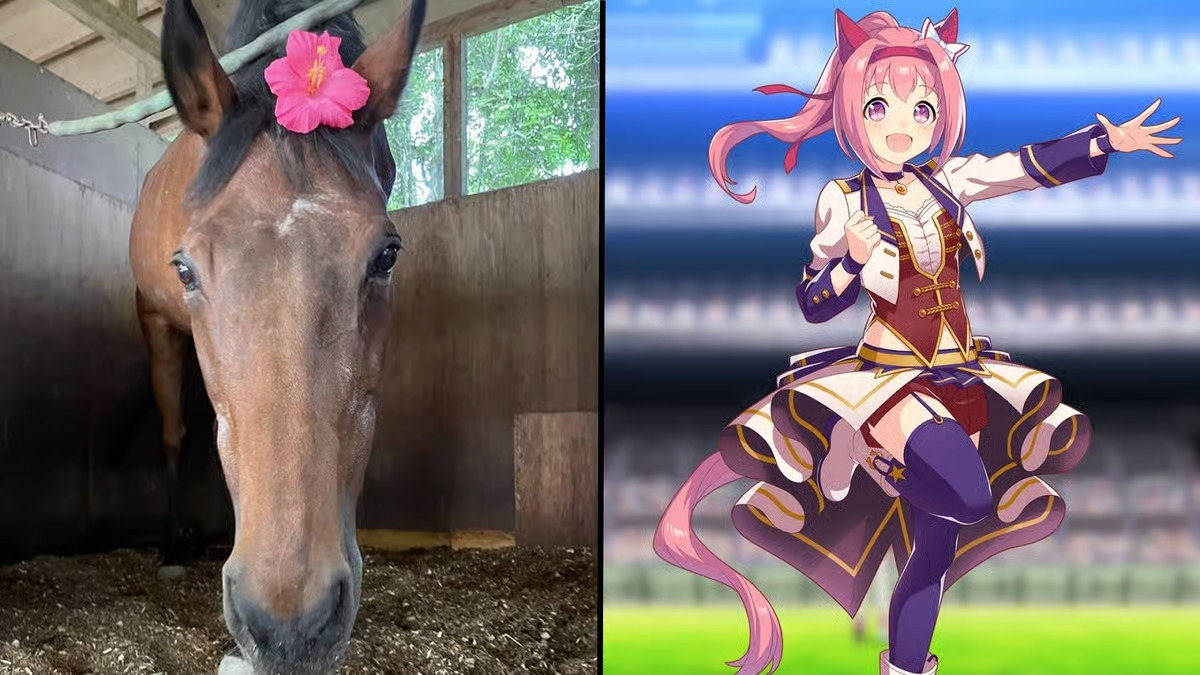 Kiri, Haru Urara versi dunia nyata saat beristirahat di Martha Farm. Kanan, Haru Urara versi gim video Umamusume Pretty Derby. (Dok. Dexerto/Cygames)