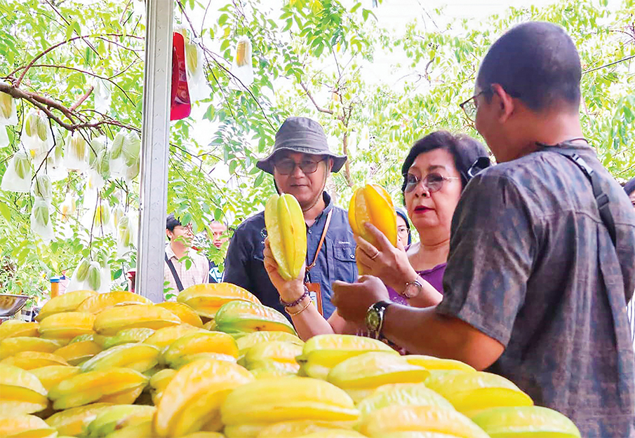 BELIMBING: Bersama tim revalidasi penilaian Geo Park Nasional menuju Geopark UNESCO di Agrowisata Belimbing.