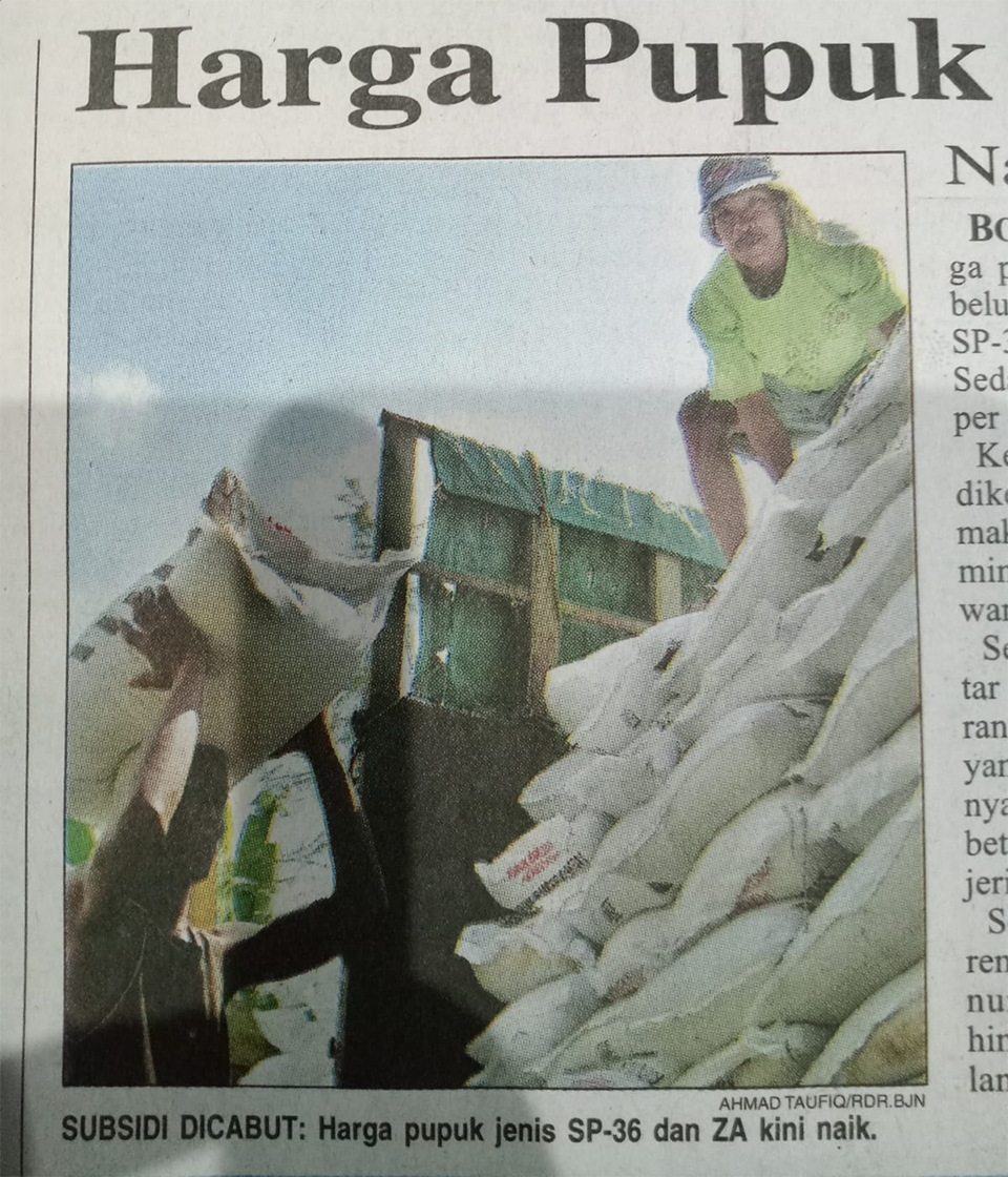 PUPUK: Pencabutan subsidi pupuk pada 2005 silam bikin petani kelimpingan. Kenaikan harga di lapangan hingga 30 persen dari harga sebelumnya.