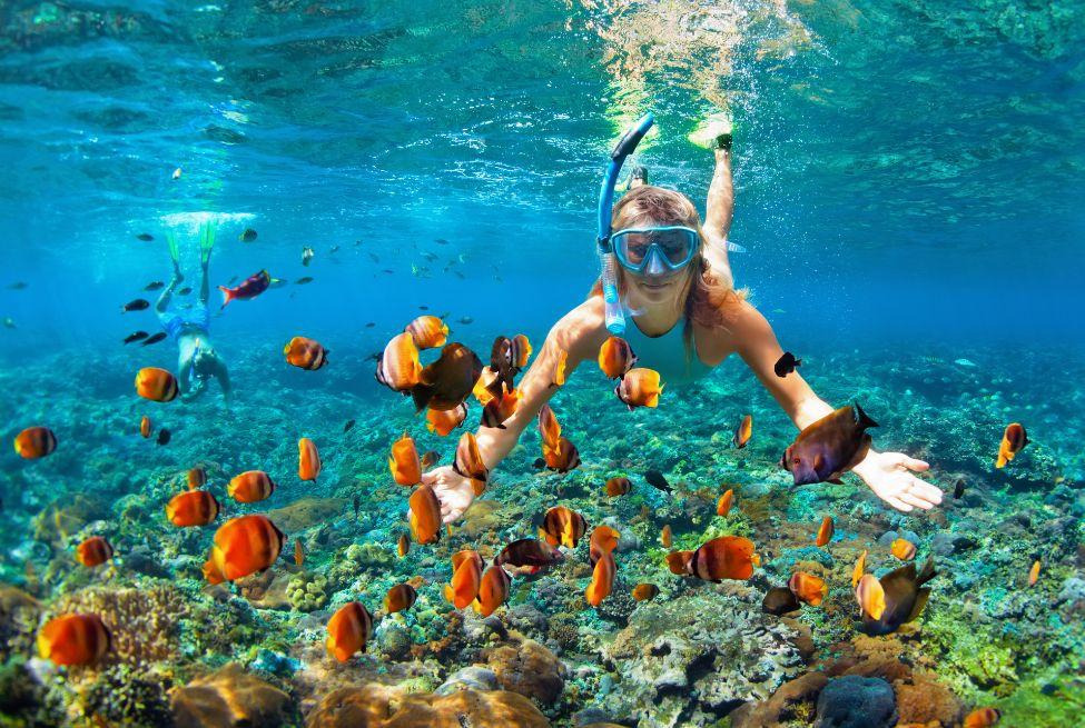 Keseruan menyelam laut dengan cara snorkeling.