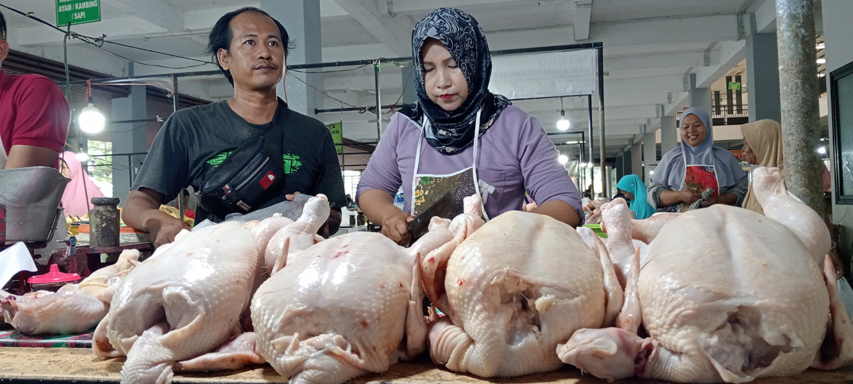 HARGA NAIK: Harga daging ayam di pasar tembus Rp 38 ribu hingga Rp 40 ribu per kg. Kenaikan dipangaruhi peringatan Maulid Nabi Muhammad dan program makanan bergizi.