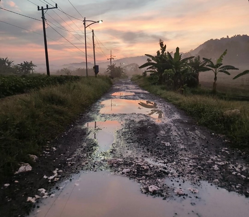 Salah satu ruas jalan Desa Pajeng tergenang setelah diguyur hujan pada siang hari (ISTIMEWA/RADAR BOJONEGORO)