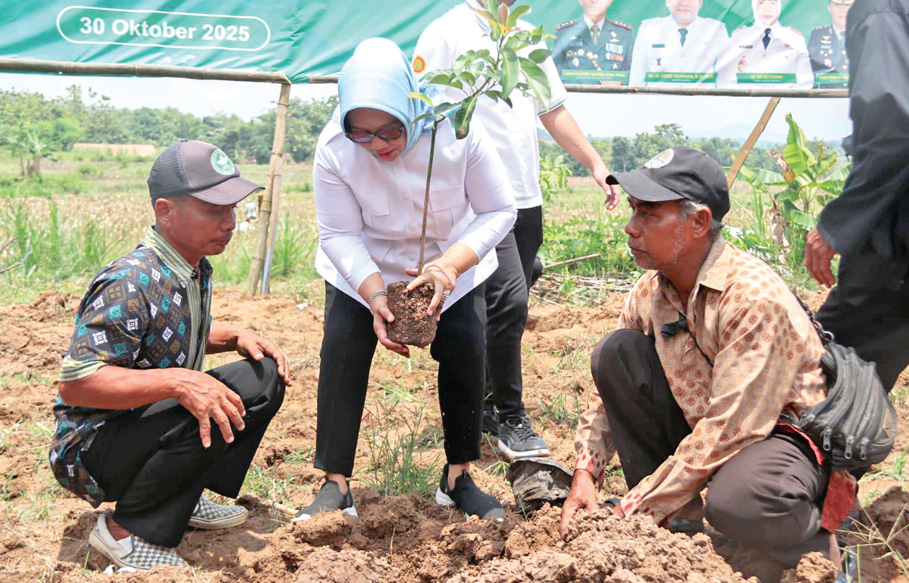 DITAMANI : Wabup Blora Sri Setyorini saat menanam pohon buah di salah satu lahan di Blora.