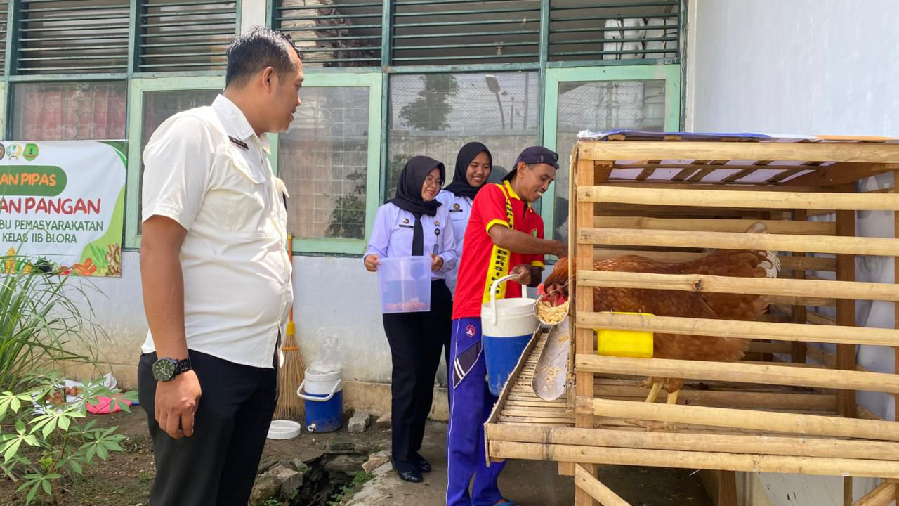 KEGIATAN POSITIF: Warga binaan pemasyarakatan (WBP) di Rutan kelas II B Blora saat memberikan pakan ayam petelor.
