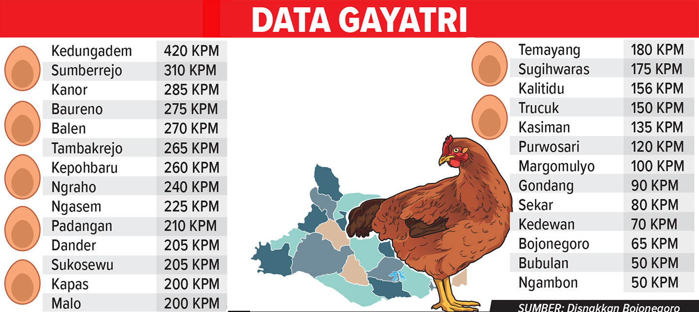 Infografis distribusi program Gayatri (AINUR OCHIEM/RADAR BOJONEGORO)