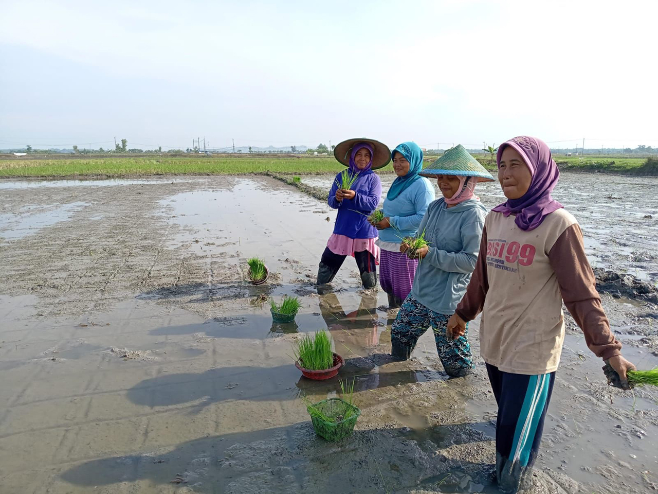 HARUS DIKEMBANGKAN: Wakil DPRD Blora, Siswanto berharap pertanian organik di Desa Bajo harus bisa dikembangkan.