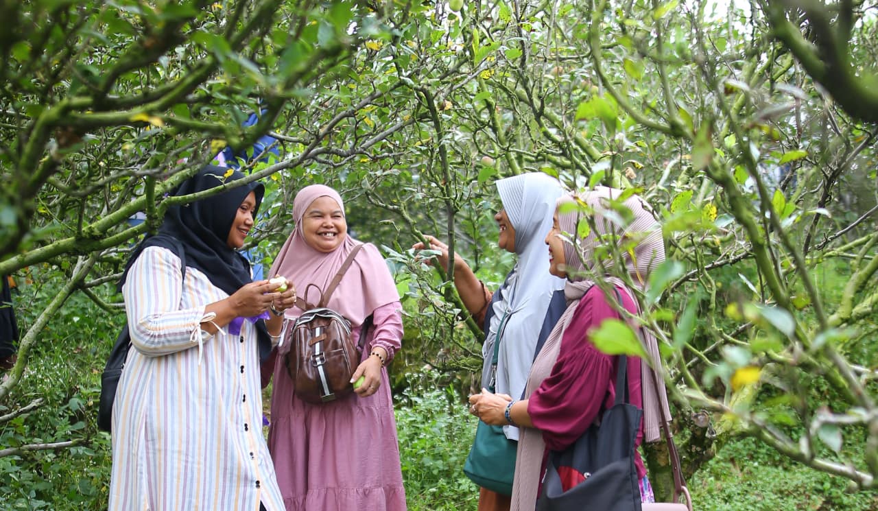 AGROWISATA: Salah satu destinasi wisata yang ada di Malang. Menjelang liburan akhir tahun, jasa tour travel wisata mulai banjir pesanan.