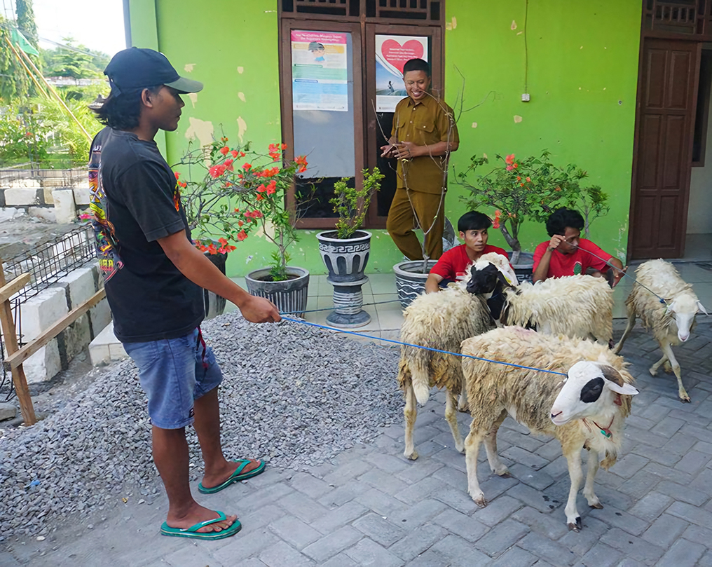 Salah satu penerima bantuan Domba Kesejahteraan menuntun domba pemberian Pemkab Bojonegoro. (YUAN EDO/RADAR BOJONEGORO)