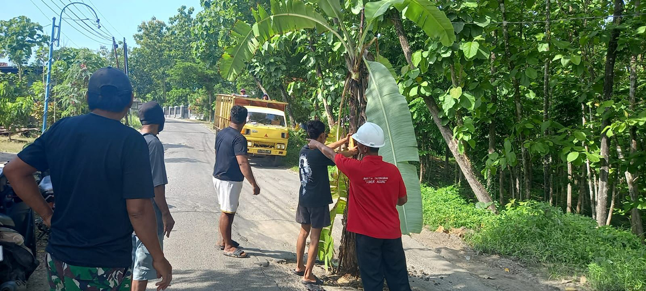 TUNTUT PERBAIKAN : Warga Desa Ledok menanami jalan dengan pohon pisang. Mereka menunut perbaikan pada Pertamina.