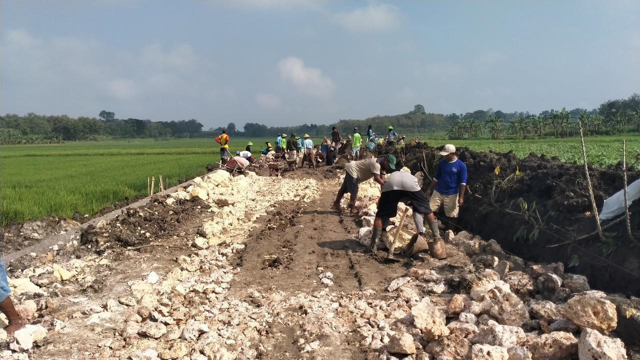 KEBIJAKAN MENDADAK: Pengerjaan infrastrktur jalan di Desa Trembulrejo berlangsung di tengah pengeprasan DD tahap dua di Kabupaten Blora.