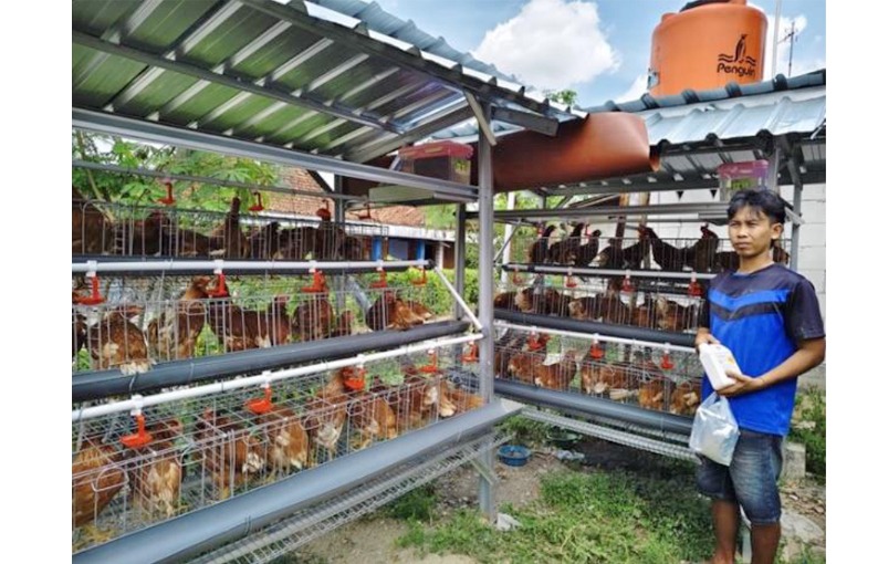 KONTRIBUSI NYATA: PT Pertamina EP Cepu (PEPC) berkomitmen mendukung program prioritas Pemerintah Kabupaten Bojonegoro melalui program Gerakan Ayam Petelur Mandiri (Gayatri).