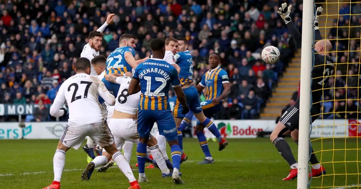 LAGA FA CUP: Wolves vs Shrewsbury Town.