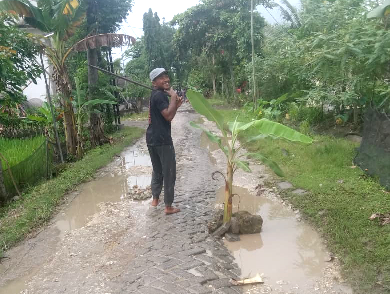 PROTES: Warga protes dengan menanami pisang di jalan, karena tak segera mendapat perhatian dari pemerintah.
