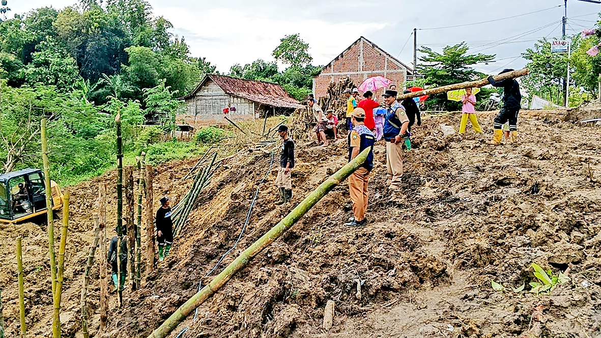 MASIH DIKAJI : Petugas melakukan pembukaan lahan diarea terdampak dengan merapikan pohon bambu dan pohon-pohon yang ada disekitar area.