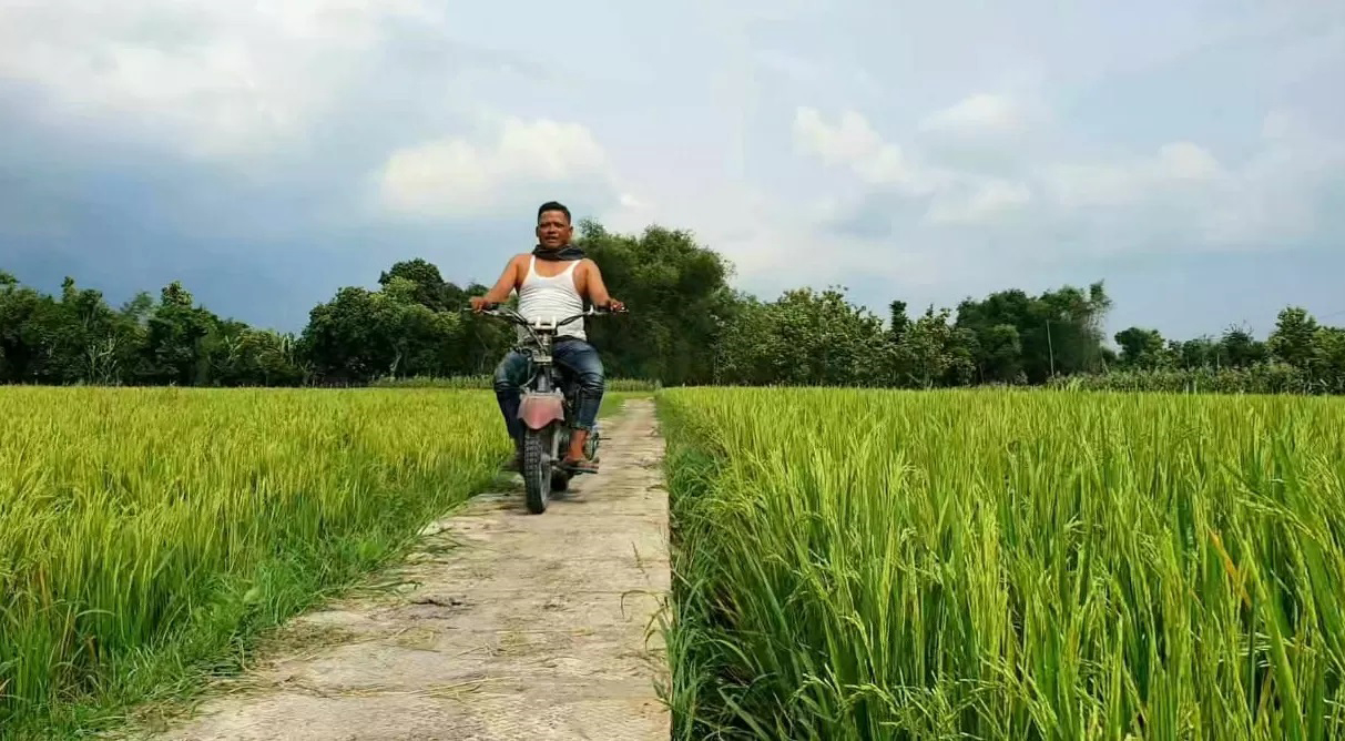 PERTANIAN: Salah satu jalan usaha tani (JUT) yang berlokasi di wilayah Kecamatan Kalitidu.