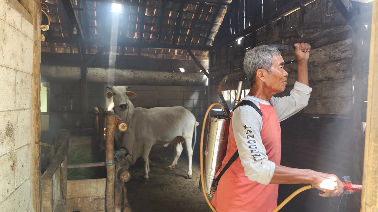 BIO SECURITY: Kelompok Tani Ternak Ustan Mandiri di Desa Dolokgede, Kecamatan Tambakrejo menerapkan bio security untuk menekan penyebaran virus PMK.