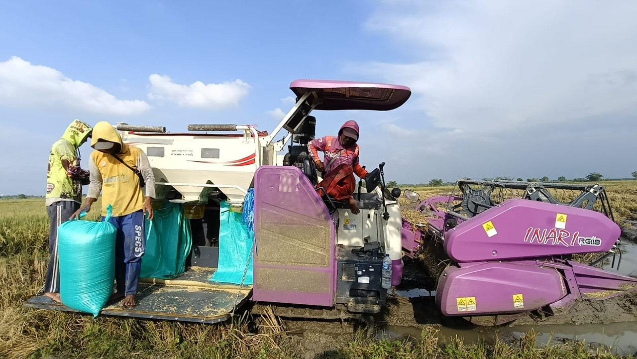PANEN PADI: Petani Desa Wedi, Kecamatan Kapas sedang memanen padi dengan alat combin yang difasilitasi DKPP Bojonegoro. Petani sangat terbantu dengan alsintan yang dibiayai dari uang negara itu