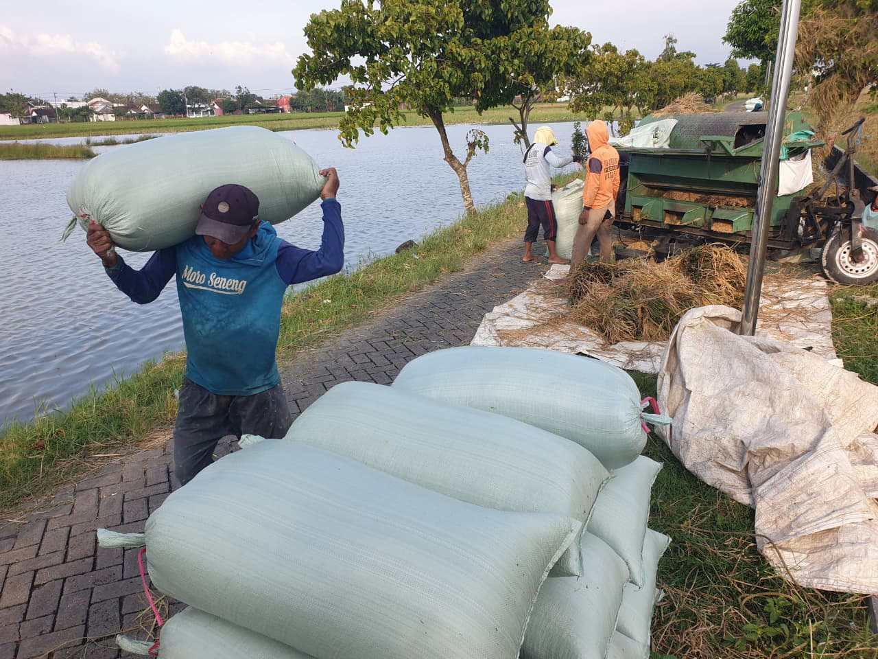 BERAS: Warga Desa Campurejo, Kecamatan/Kabupaten Bojonegoro panen padi, Selasa (10/2).