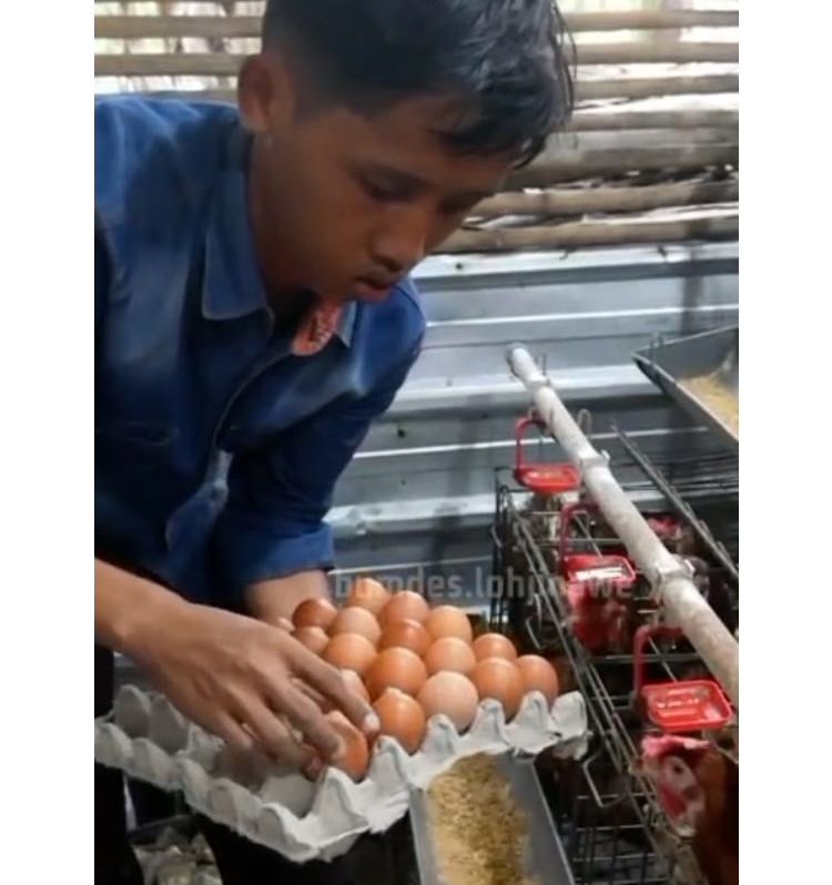 TEKUN: Dini Assalam salah satu KPM difabel berhasil kelola gayatri di Kecamatan Kanor