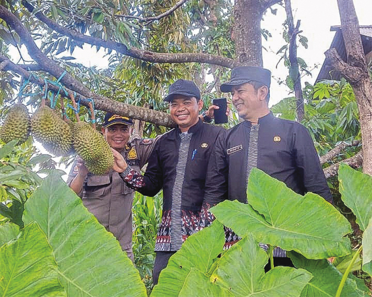 MUSANG KING: Durian jenis musang king di Desa Krondonan siap disantap.  Kecamatan Gondang diproyeksikan menjadi sentra durian, sudah menanam  120 pohon, mulai jenis bawor, durian hitam, dan montong. 