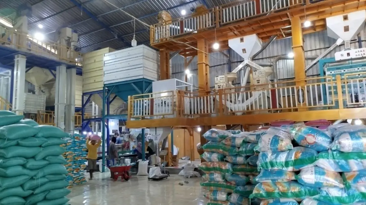 KETAHANAN PANGAN: Aktivitas penggilingan gabah di CV Sumber Makmur, Desa Trembulrejo, Kecamatan Ngawen. (ACHMAD SYAEROYZI/RDR.BJN )