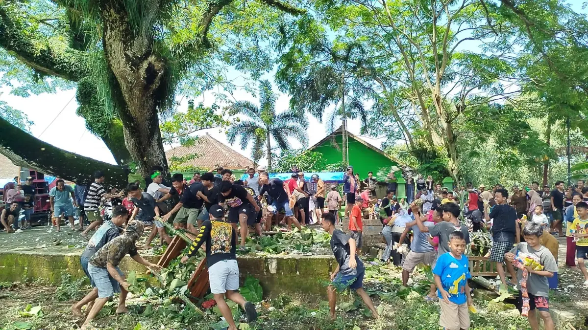SEDEKAH BUMI: Tradisi Sawuran atau sedekah bumi di Desa/Kecamatan Jiken, Kabupaten Blora.