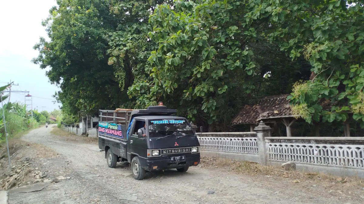 PENGHUBUNG KABUPATEN: Kondisi ruas jalan Desa Nglebak - Megeri ke arah Ngawi. (ISTIMEWA/RADAR BOJONEGORO)