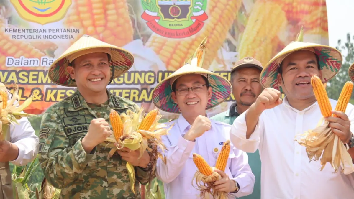 POTENSIAL: Pemerintah pusat mulai membidik Blora sebagai titik awal hilirisasi jagung menjadi energi alternatif.