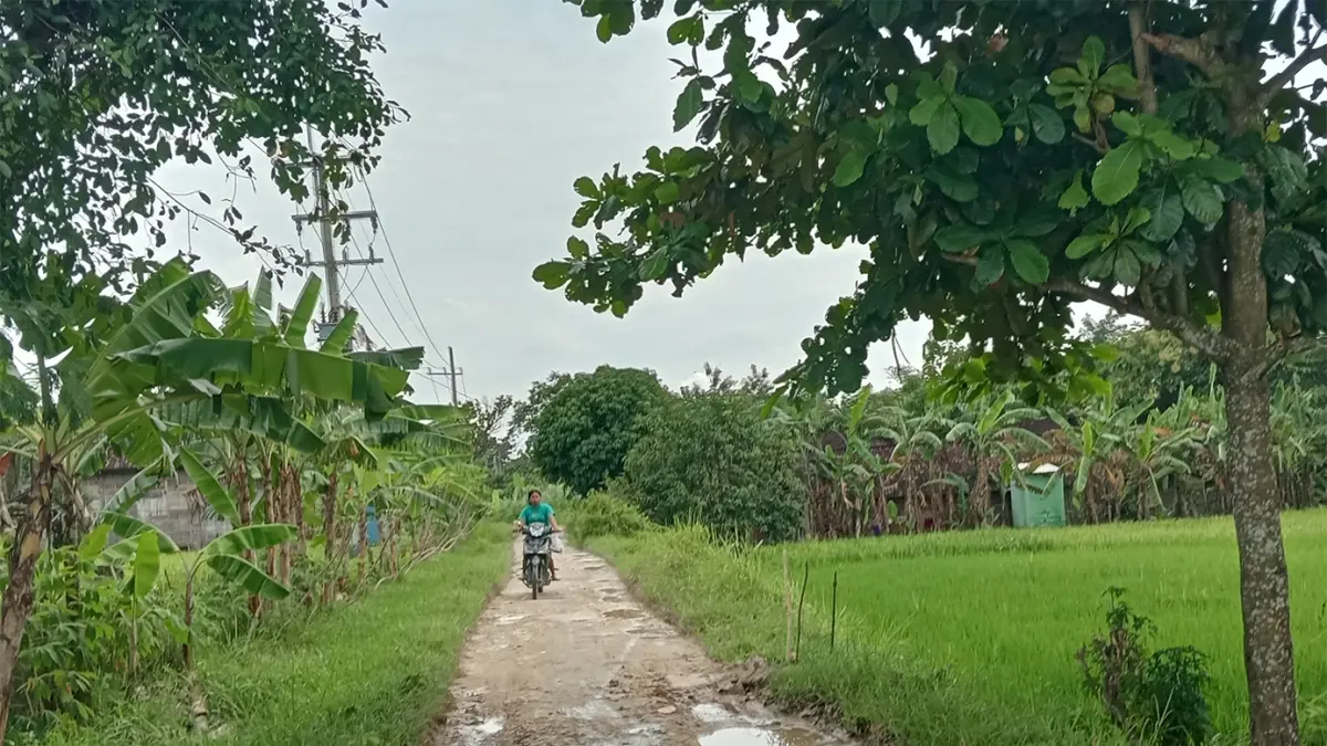 SUASANA DESA: Warga sedang melintas di pematang sawah. Tahun ini pemkab bakal mengebor 53 titik sumur untuk pertanian. (YANA DWI KURNIYA WATI/RADAR BOJONEGORO)