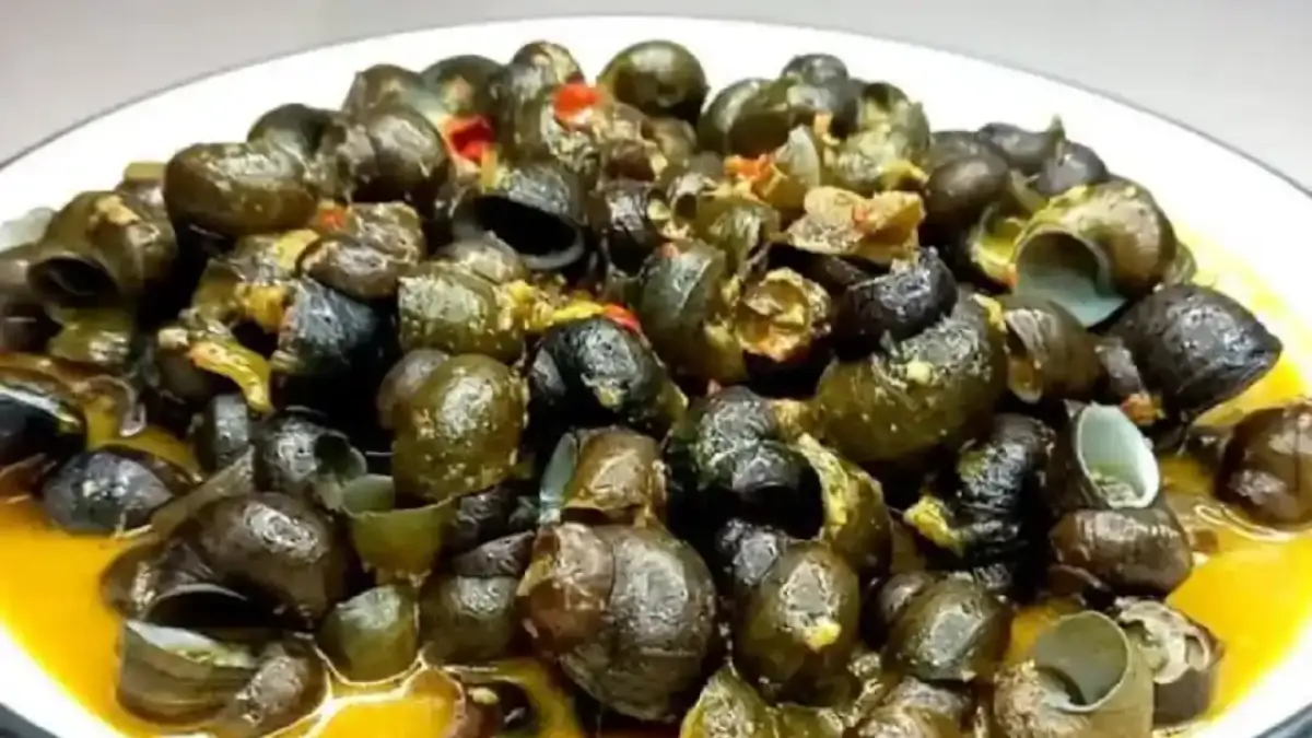 TUTUT: Cara mengolah siput sawah atau tutut.