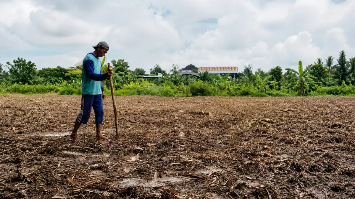 JAGA KETAHANAN PANGAN: Bantuan bibit bagi petani di Kabupaten Blora diharapkan mampu mendongkrak produktivitas pertanian. (ACHMAD SYAEROYZI/RDR.BJN)