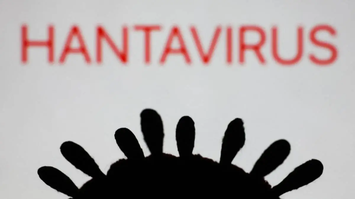 HANTAVIRUS: Persebaran hantavirus tercatat telah tersebar di 9 provinsi dalam 3 tahun terakhir.