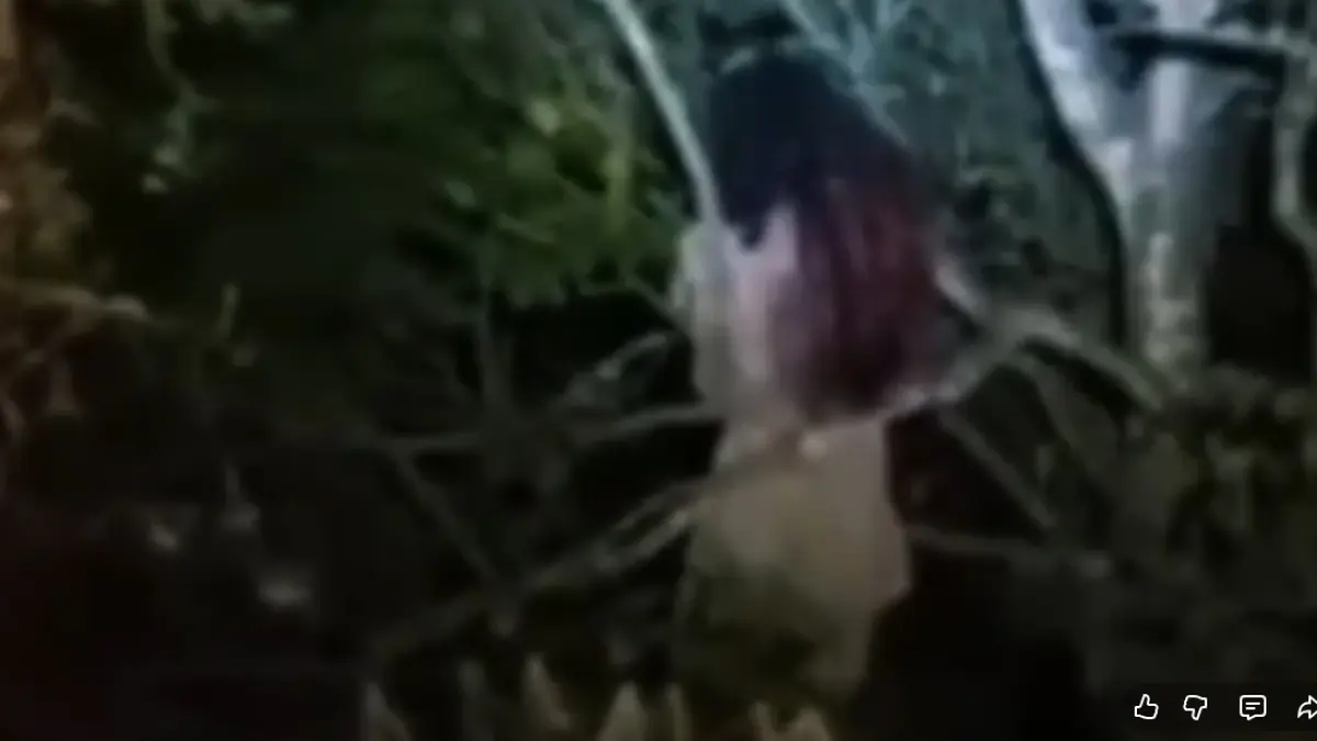 PENAMPAKAN: Tangkapan layar dari video penampakan setan sundel bolong yang diduga berlokasi di Sumberrejo, Bojonegoro.