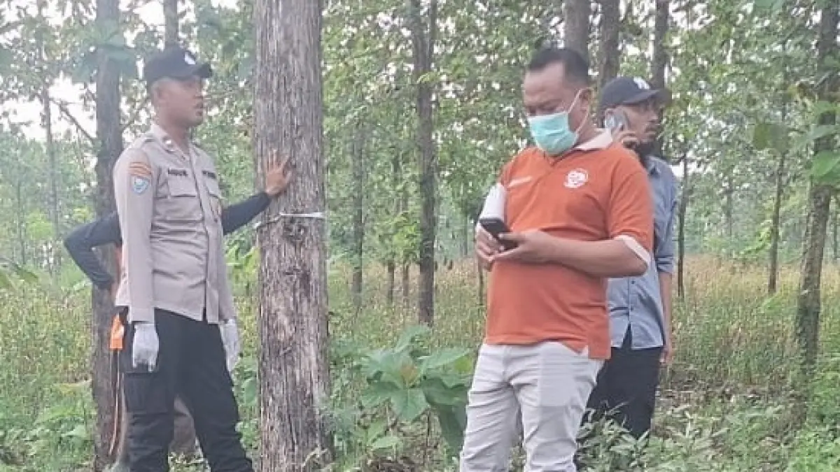 BELUM TERUNGKAP: Petugas saat mengevakuasi mayat perempuan tanpa identitas di hutan Kecamatan Ngasem Sabtu (16/5), hingga kemarin (18/5) identitasnya belum terungkap. (ISTIMEWA/RADAR BOJONEGORO)