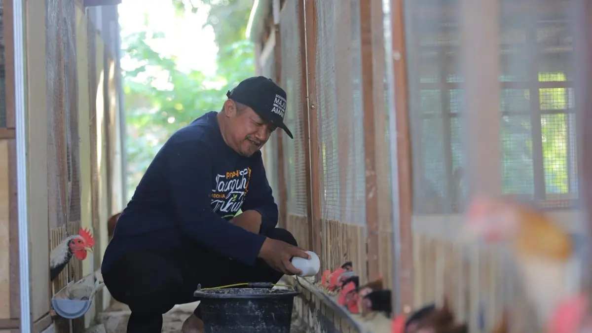 PRODUKTIF: Anggota Kelompok Jengkar Mandiri Desa Sudu, Kecamatan Gayam menunjukkan hasil telur ayam KUB yang menjadi sumber tambahan pendapatan keluarga. Warga memberi pakan ayam KUB.