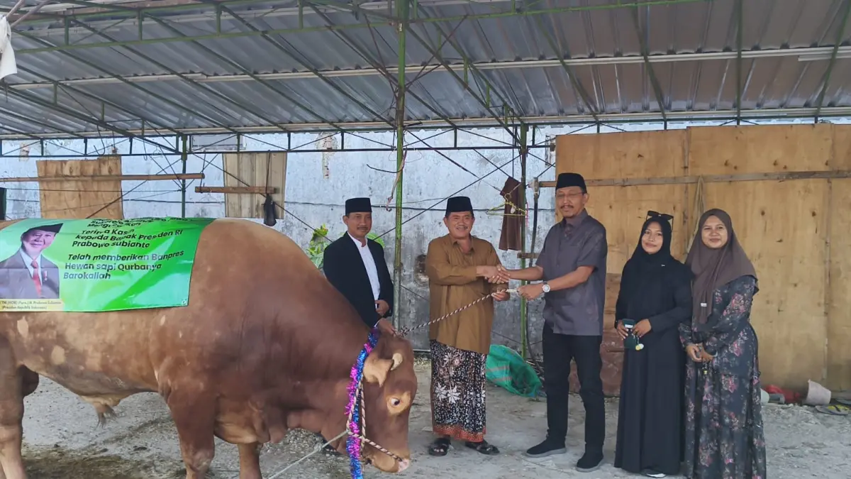 BANPRES : Sapi berbobot 1,2 ton dari Presiden Prabowo diserahkan ke Ponpes Modern Al-Fatimah asuhan Dr KH Tamam Syaifuddin, M.Si,/IST