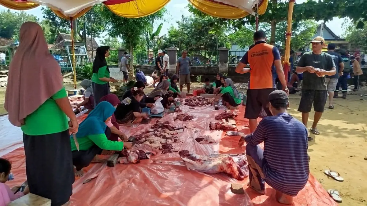 BERUKURAN JUMBO: Sebanyak 60 warga Desa Kawengan, Kecamatan Jepon memotong sapi kurban Presiden. (ACHMAD SYAEROYZI/RDR.BJN)