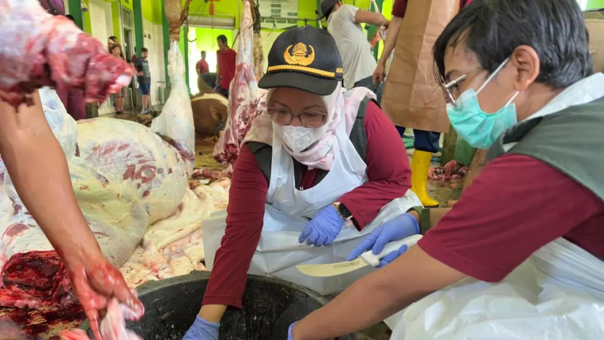 LEBIH SIBUK: Petugas melayani pemotongan hewan kurban, yang jumlahnya meningkat dibanding tahun lalu. (ACHMAD SYAEROYZI/RDR.BJN)