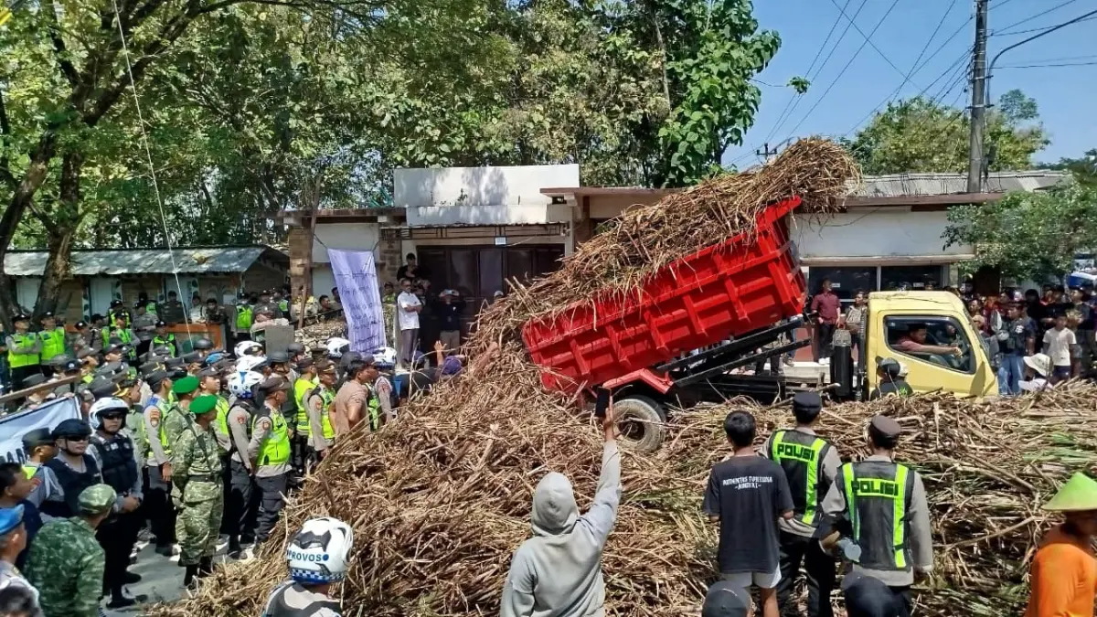 MINTA KEJELASAN: Sejumlah truk menurunkan ribuan batang tebu di depan PT GMM sebagai bentuk protes. (ACHMAD SYAEROYZI/RADAR BOJONEGORO)

