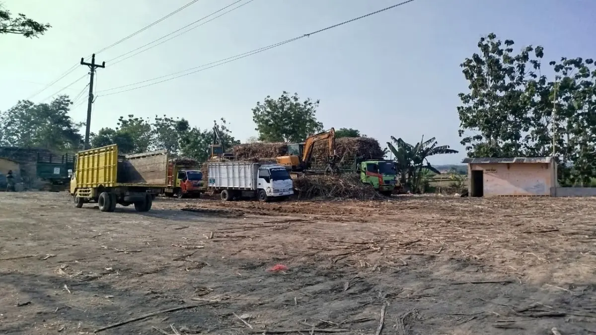 DINILAI LEBIH LANCAR: Sejumlah petani memilih mengirimkan tebu ke PG KTM Lamongan, di tengah ketidakpastian dari PG GMM Blora. (ACHMAD SYAEROYZI/RADAR BOJONEGORO)